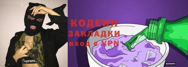 дурь Алексин
