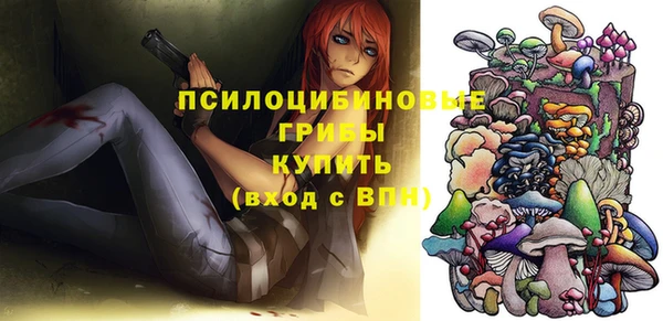 хмурый Алексеевка